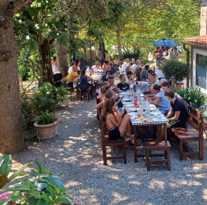 Ala Di Maniero In Agriturismo Valdrago In Toscana, Nel Verde Mugello Sulle Colline Di Firenze 보르고산로렌조 외부 사진