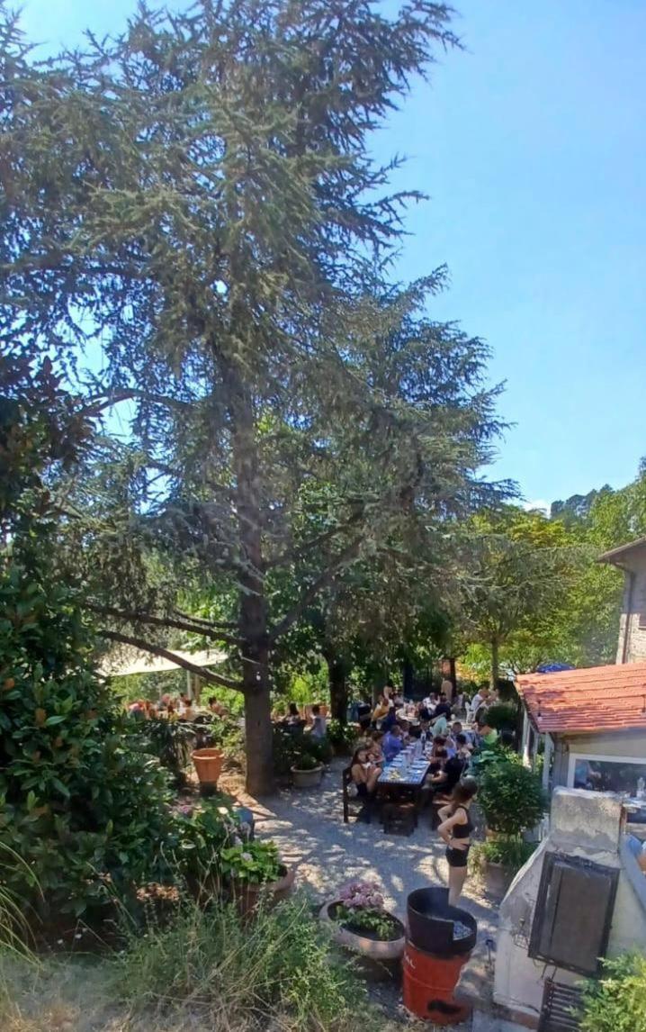 Ala Di Maniero In Agriturismo Valdrago In Toscana, Nel Verde Mugello Sulle Colline Di Firenze 보르고산로렌조 외부 사진