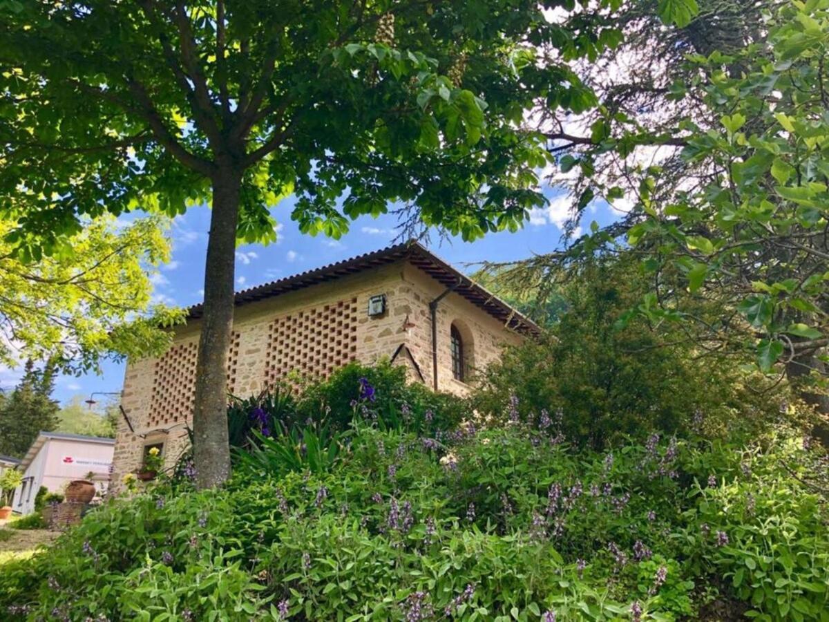 Ala Di Maniero In Agriturismo Valdrago In Toscana, Nel Verde Mugello Sulle Colline Di Firenze 보르고산로렌조 외부 사진