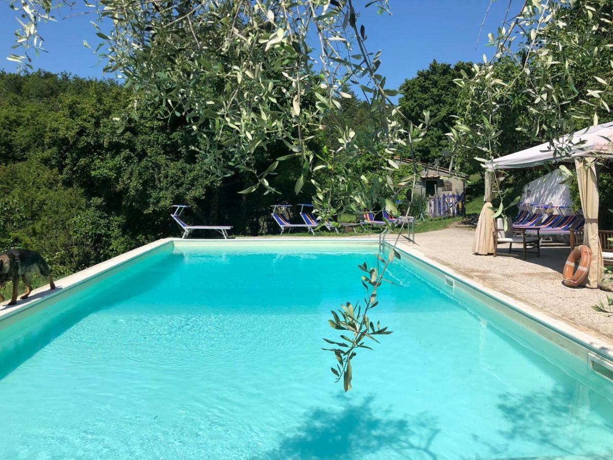 Ala Di Maniero In Agriturismo Valdrago In Toscana, Nel Verde Mugello Sulle Colline Di Firenze 보르고산로렌조 외부 사진